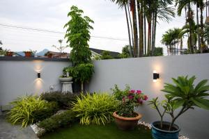 a garden with plants and lights on a white wall at Canning 33 in Ipoh