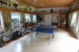 ein Wohnzimmer mit einer Tischtennisplatte in der Unterkunft Ferienwohnung Grießer in Arriach