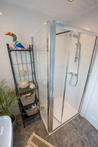 a shower with a glass enclosure in a bathroom at Ninety Seven in Holywood