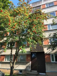 Zgradba, v kateri se nahaja apartma