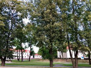 Vrt pred nastanitvijo Apartments Kohtla-Jarve