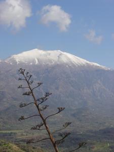 a snow covered mountain with a tree in the foreground at Kouriton House in Margarítai