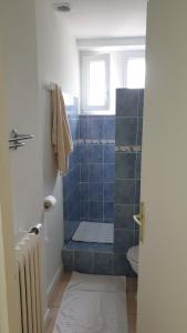 a bathroom with a blue tiled shower with a toilet at chez Black and White in Les Martys