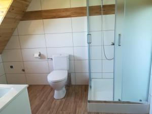a bathroom with a toilet and a glass shower at Pod Kasztanami in Międzylesie