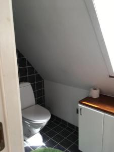 a small bathroom with a toilet in a attic at Ro i skoven - men tæt på byen in Varde