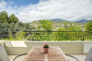 Gallery image of Hotel Aphrodite in Stoupa