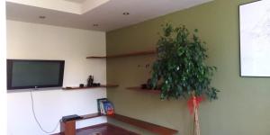 uma sala de estar com uma televisão e um vaso de plantas em Apartment Leśniczówka em Radom