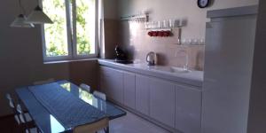 kuchnia z blatem, zlewem i stołem w obiekcie Apartment Leśniczówka w Radomiu