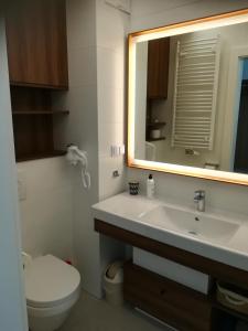 W łazience znajduje się umywalka, toaleta i lustro. w obiekcie Bel Mare Patio B217 w mieście Międzyzdroje