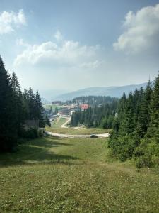 a field of grass with a road in the distance at Apartments A Vlasic in Vlasic