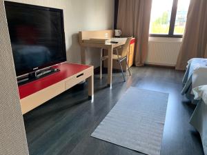 TV a/nebo společenská místnost v ubytování Hotelli Haapajärvi