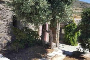 a stone house with a tree in front of it at Stone house by Anemos in Agios Ioannis +10 photos