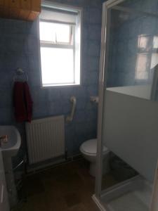 a bathroom with a shower and a toilet and a window at THE CHADWICK in Skegness
