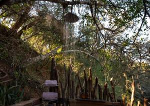 prysznic wody spadający z drzewa w obiekcie Glamping Safari Camp - Bellevue Forest Reserve w mieście Addo