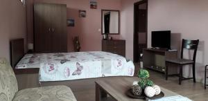 TV a/nebo společenská místnost v ubytování Guest House Ideal
