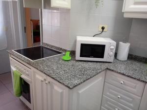 blat kuchenny z kuchenką mikrofalową i zlewem w obiekcie APARTAMENTO BEDIESTA w mieście Santa Cruz de la Palma