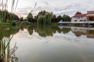 Foto dalla galleria di Camelot Resort a Husasău de Criş