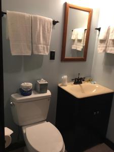 a bathroom with a toilet and a sink and a mirror at Warrensburg Inn & Suites - 6 Mi to Lake George in Warrensburg +27 photos