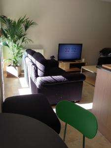 TV a/nebo společenská místnost v ubytování L'Appartement