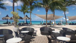 una cafetería en la playa con palmeras y el océano en Cadaques Caribe Pez 103, en Bayahibe