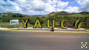 una señal que dice Yanau al costado de una carretera en Los Pinos House, en Yauco