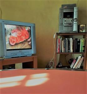 einen TV auf einem Tisch mit Bücherregal in der Unterkunft Casa Ecológica Rama & Cabaña Rústica in Tandil