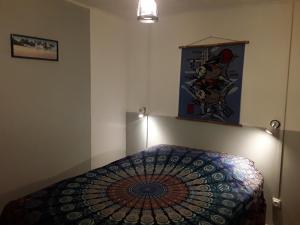 聖若瑟的住宿－La case o'gecko974，一间卧室配有一张带五颜六色棉被的床