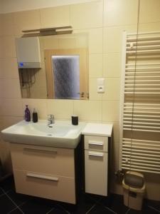 Kúpeľňa v ubytovaní Apartmány pod Divadlem