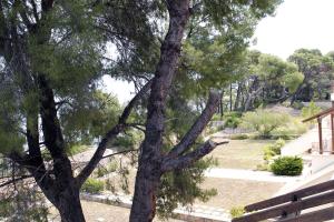 Fotografie z fotogalerie ubytování 4 bedroom villa v destinaci Nea Fokea