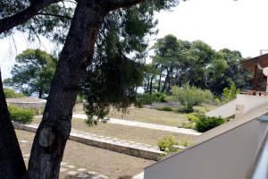 Fotografie z fotogalerie ubytování 4 bedroom villa v destinaci Nea Fokea