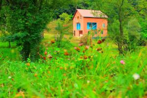 Φωτογραφία από το άλμπουμ του Guest House "Oasis" σε Khulo