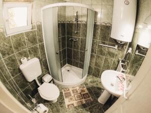 een badkamer met een douche, een toilet en een wastafel bij Pensiunea Apolka Panzió in Covasna