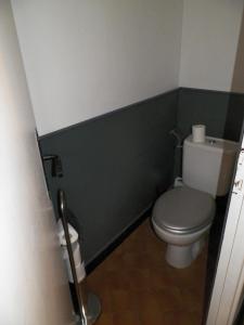 a bathroom with a toilet and a green wall at JUGU avec jardin in Boulogne-sur-Mer +38 photos