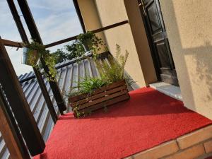 Balkon lub taras w obiekcie OldBrick PUB