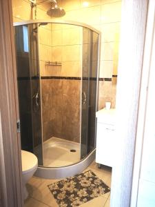 uma casa de banho com um chuveiro e um WC. em Delta Plius em Šventoji