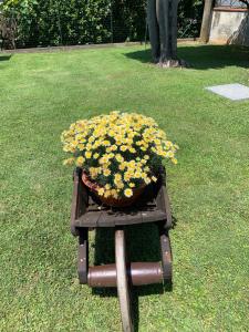 Jardí fora de Aurelia Rta Detta il Cascinale