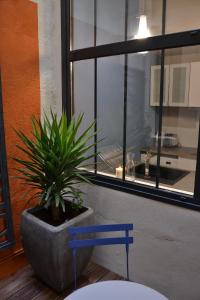 a potted plant in a pot next to a window at Burdigala Homes - Appart du Jardin Public in Bordeaux