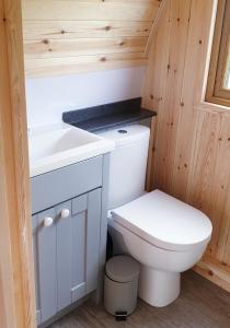 Baño pequeño con aseo y lavamanos en Lilly's Lodges Orkney Butterfly Lodge, en Finstown