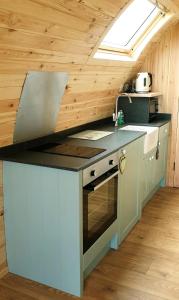 una cocina en una casa pequeña con fogones en Lilly's Lodges Orkney Butterfly Lodge, en Finstown