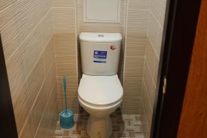 a toilet in a small bathroom with a toothbrush at 1-комнатная квартира на набережной in Pavlodar +13 photos