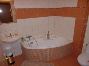 a bathroom with a bath tub and a sink at Motorest Štěpán in Těšov
