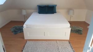 a bedroom with a white bed with blue pillows at Appartement sympa à 5 min du centre ville à pied in Charleville-Mézières