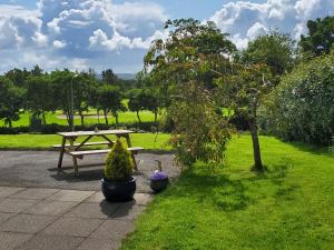Zahrada ubytování Greenside B&B