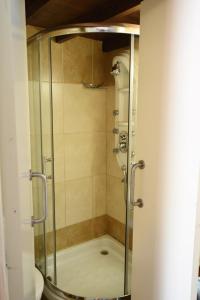 a shower with a glass door in a bathroom at Enipnion Apartments in Kakopetria