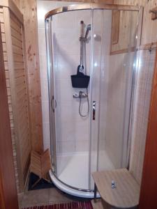 a shower with a glass door in a bathroom at Family House 94 in Prosečné