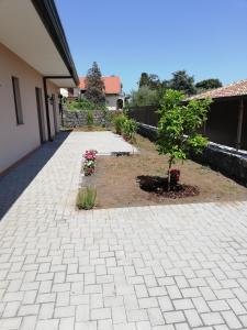 Vonkajšia záhrada v ubytovaní L'elicriso B&B