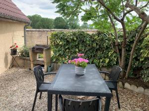 a black table and chairs with a potted plant on it at Gîte Chablisien in Chablis