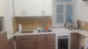 Kuchyňa alebo kuchynka v ubytovaní Apartment Jakubská 676