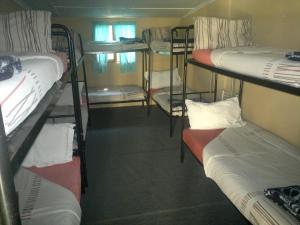 A bunk bed or bunk beds in a room at Riverlodge Backpackers