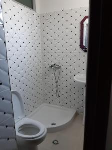 Baño blanco con aseo y lavamanos en Guest House Xhuljon en Berat